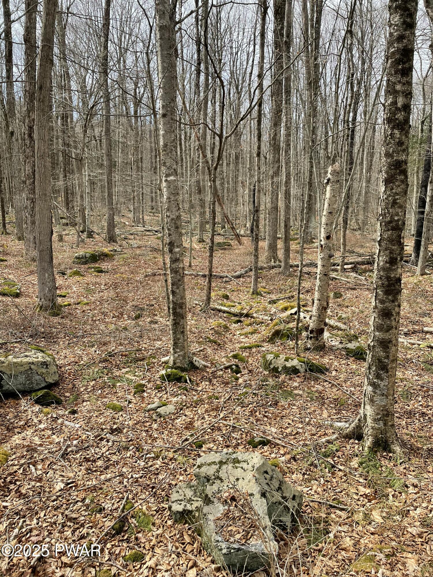 Lot 270 Radcliff Lane Bushkill, PA 18324 - Photo 5 of 10