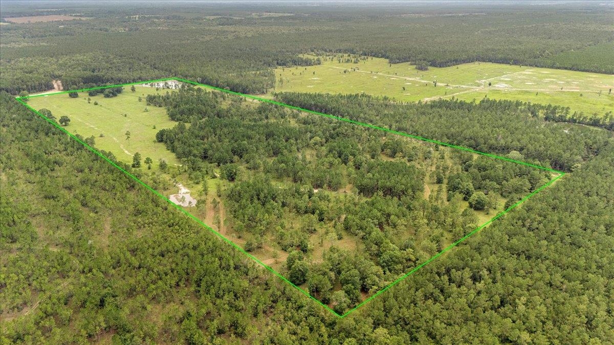 Ooo Horseshoe Road Kountze, TX 77625 - Photo 12 of 17