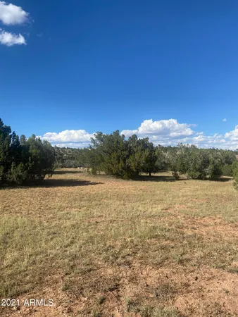 $10,000 | 34720 La Plancha Parkway, Unit 5140, Seligman, AZ 86337