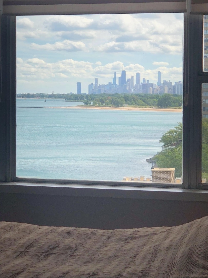 6301 North Sheridan Road, Unit 8E Chicago, IL 60660 - Photo 15 of 19 a view of a lake from a window