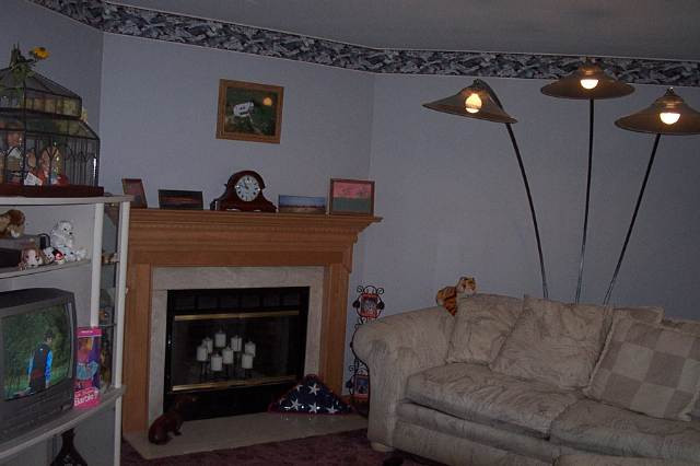 231 Hartman Road Pattersonville, NY 12137 - Photo 2 of 9 Photo 2