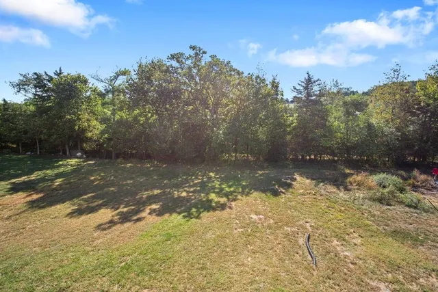 a view of a yard with trees