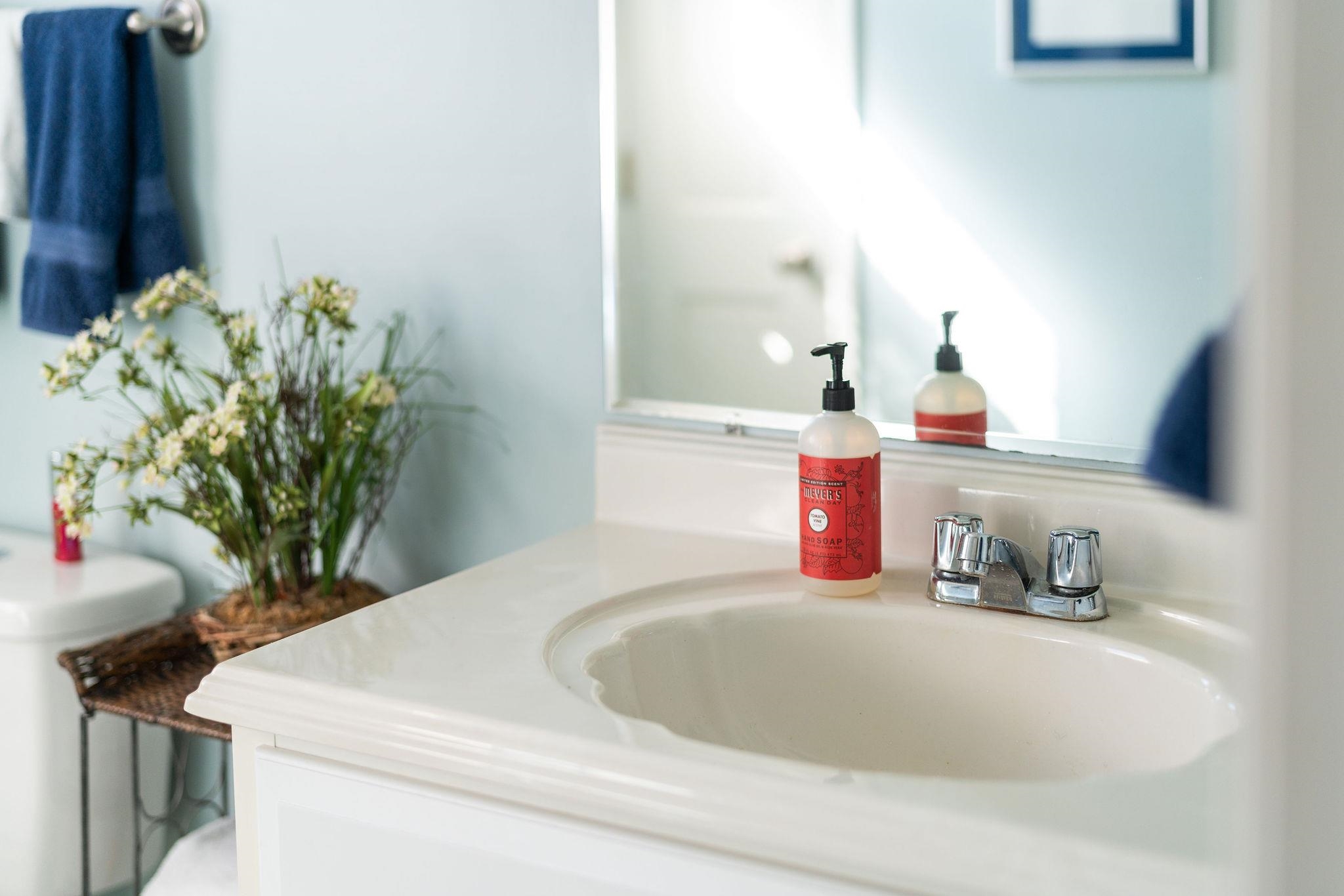 112 Country Lodge Road Waynesboro, VA 22980 - Photo 43 of 74 a bathroom with a sink a vanity and a mirror