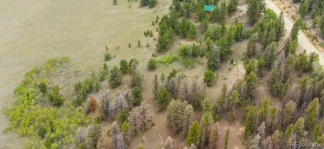 $100,000 | Redhill, Fairplay, CO 80440