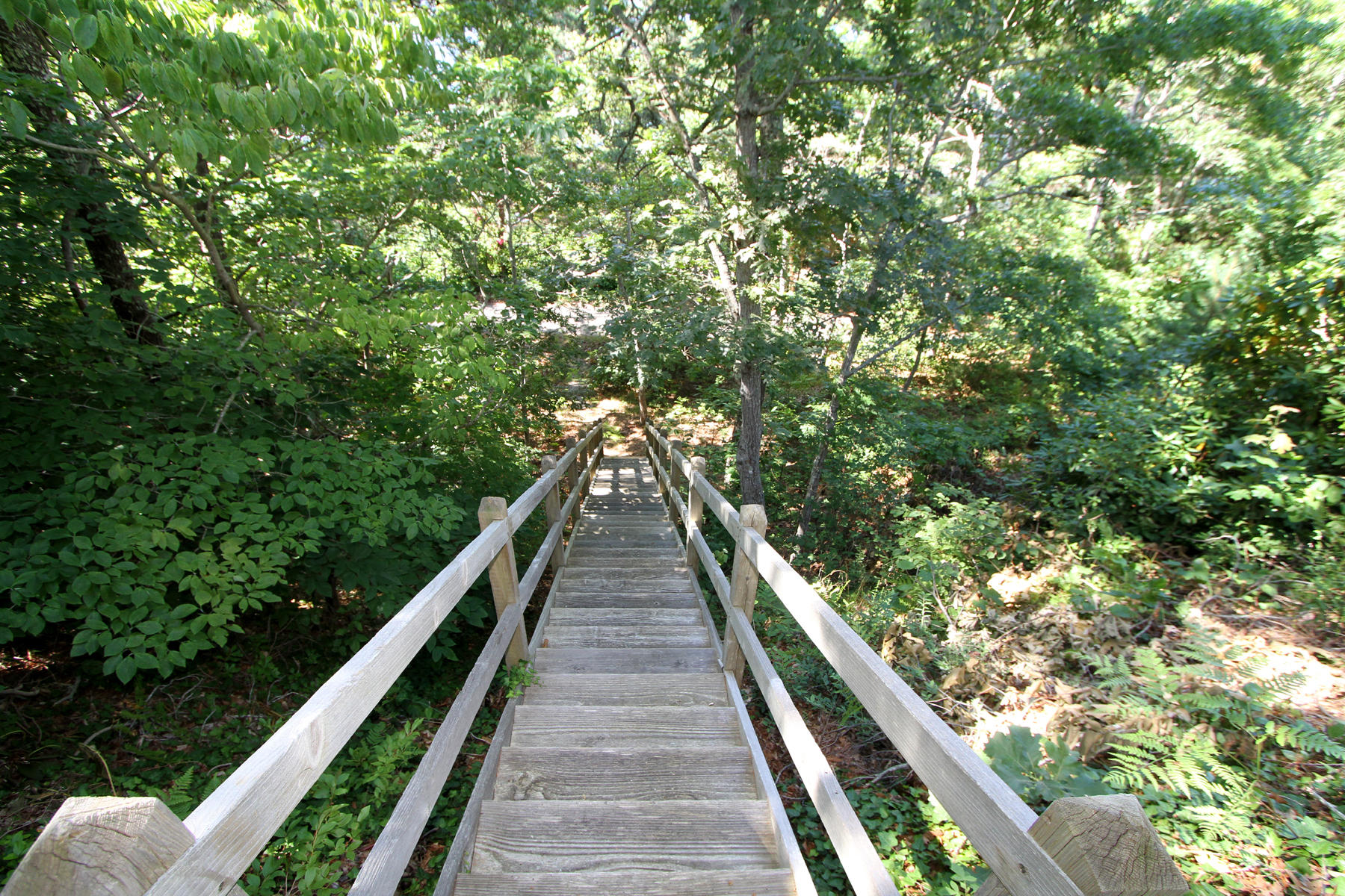 30 Tanglewood Road Brewster, MA 02631 - Photo 25 of 34 IMG_7098