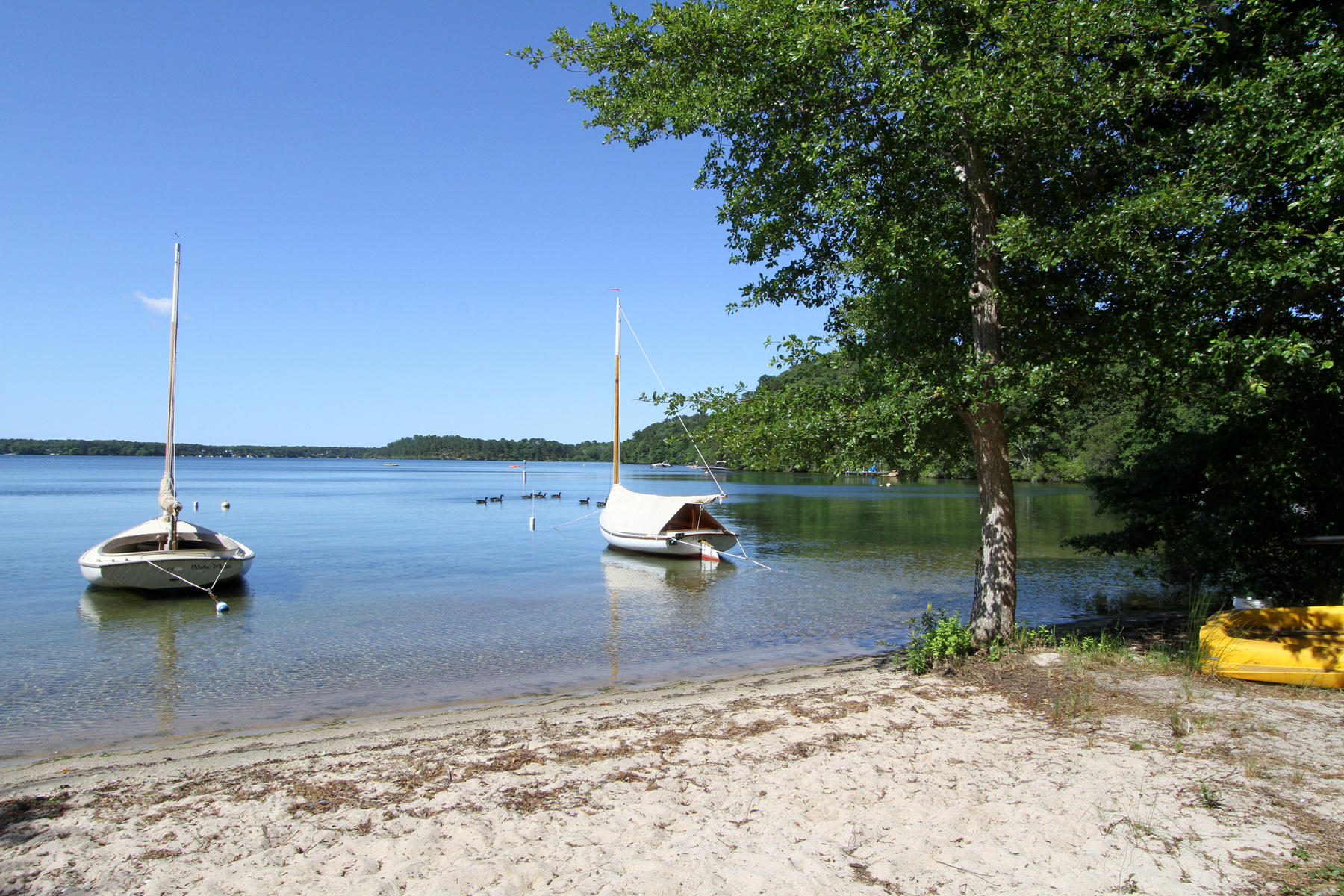 30 Tanglewood Road Brewster, MA 02631 - Photo 26 of 34 IMG_7108