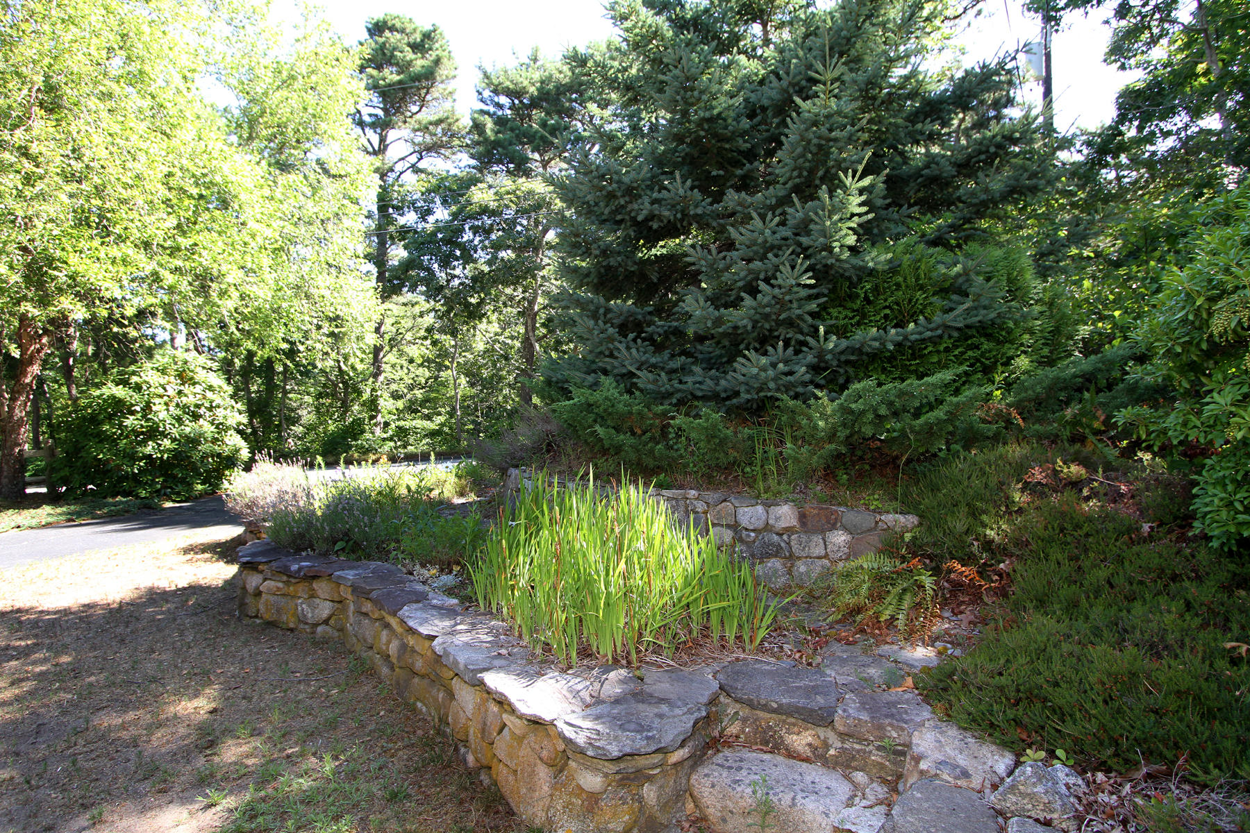 30 Tanglewood Road Brewster, MA 02631 - Photo 28 of 34 IMG_7093