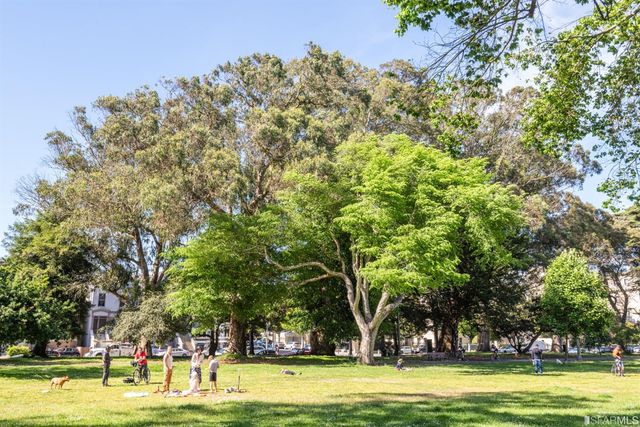 a view of a park with large trees