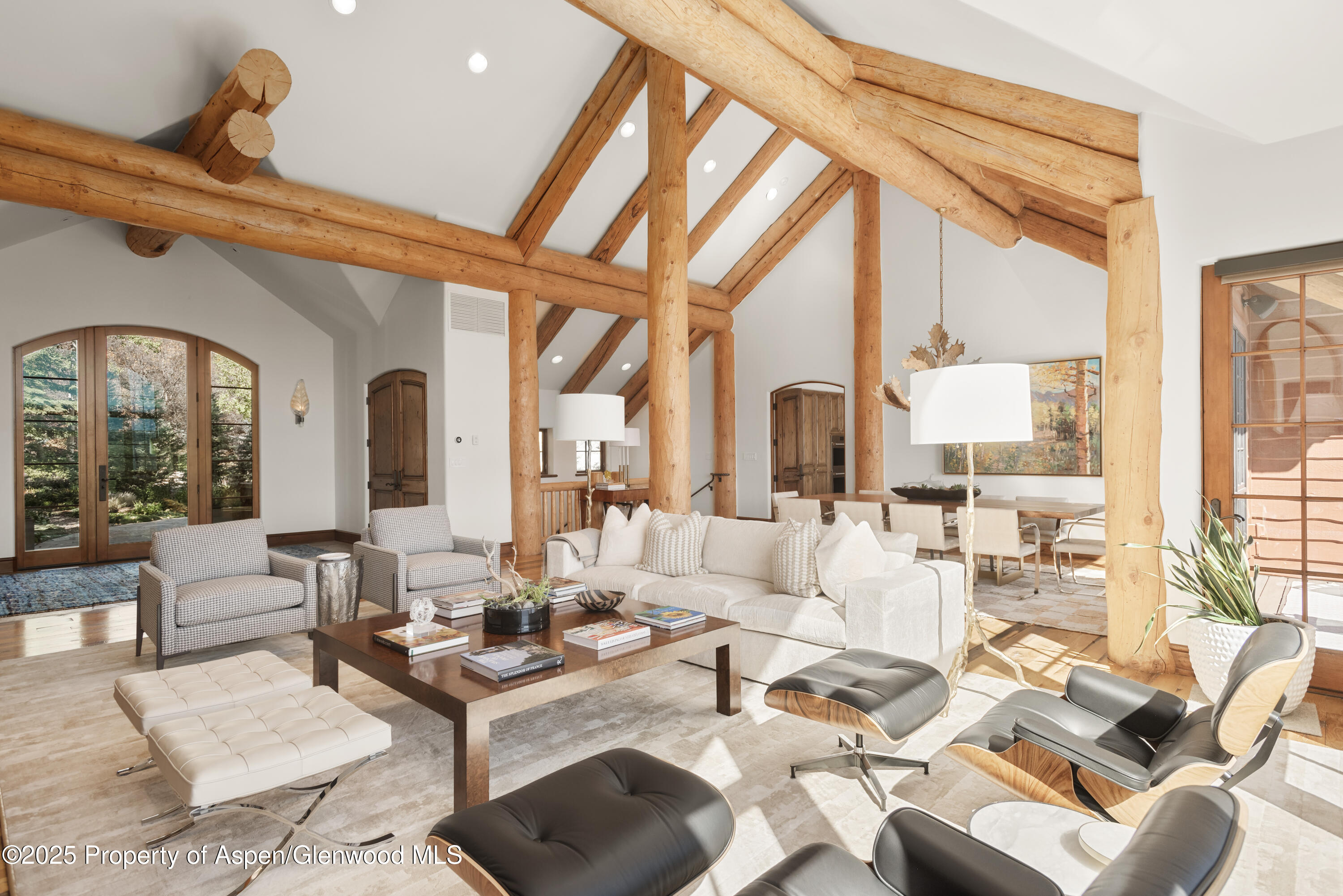 800 Oak Ridge Road Snowmass Village, CO 81615 - Photo 10 of 54 Living Room