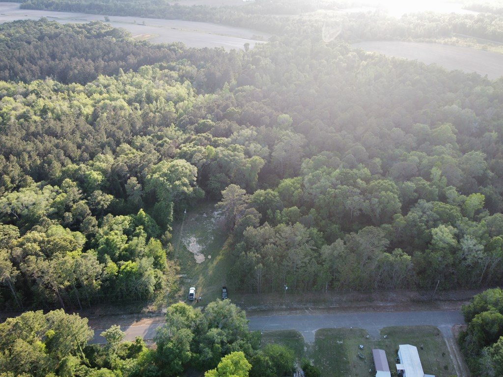 612 Edwin Reynolds Road Cottonwood, AL 36320 - Photo 10 of 15