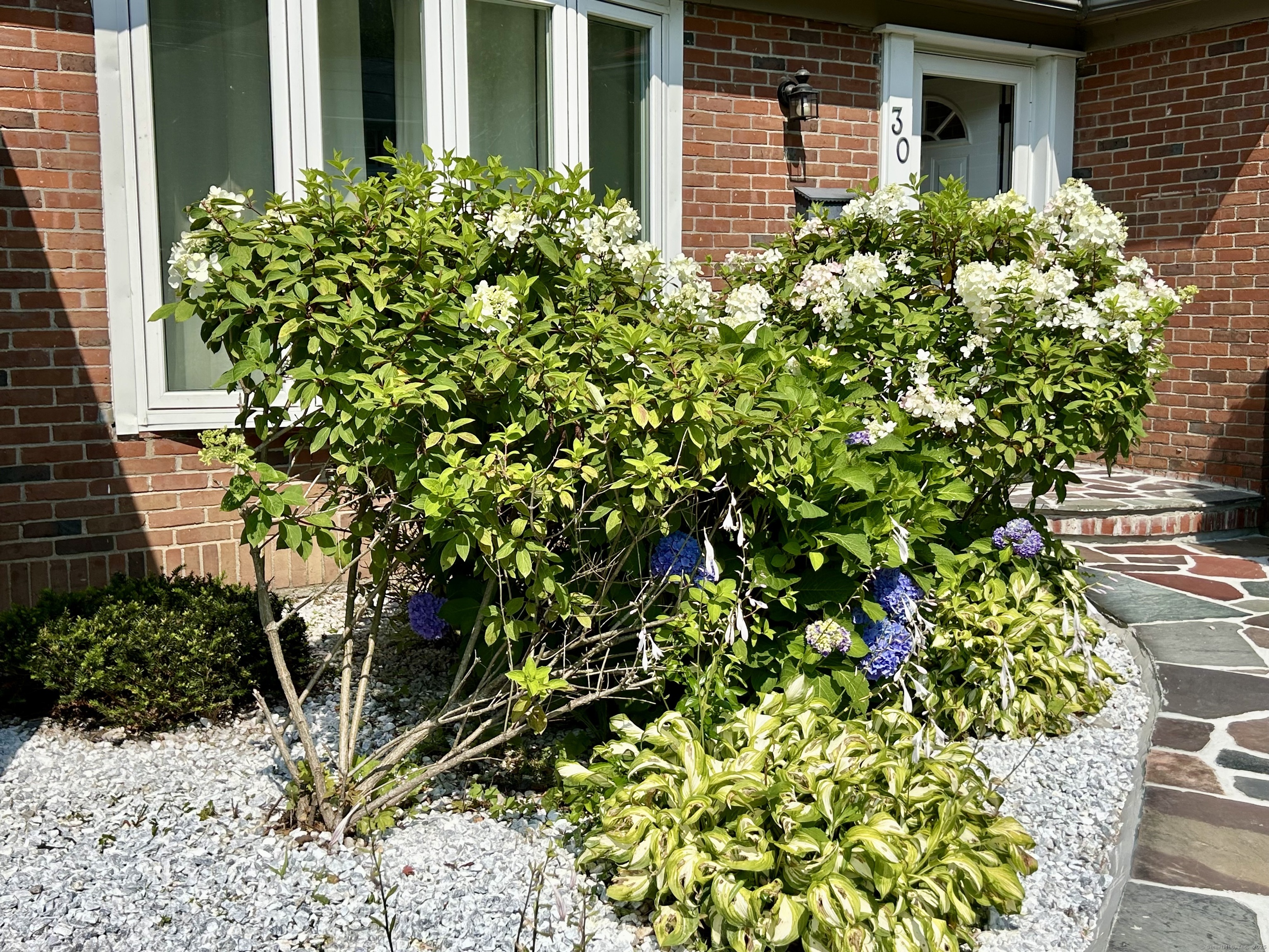 30 Apter Drive Torrington, CT 06790 - Photo 3 of 36 a plant is in front of a house