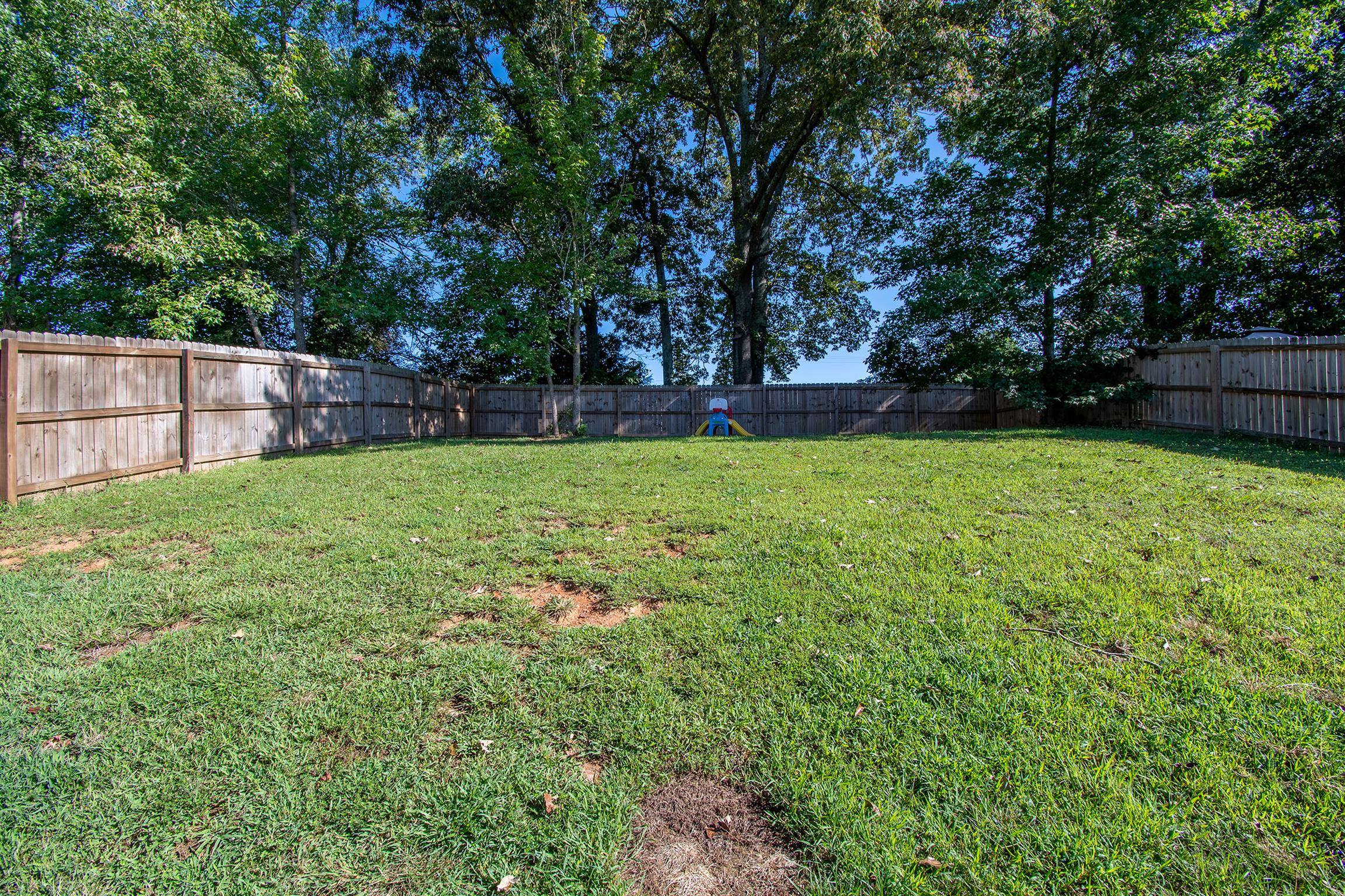 737 Inver Lane Clarksville, TN 37042 - Photo 17 of 17 a view of backyard with tree