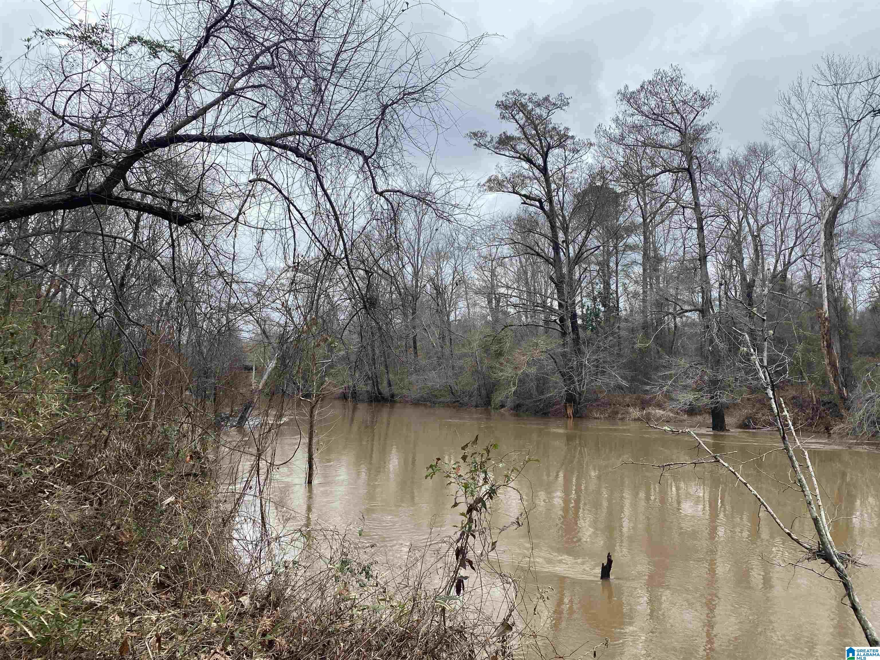 0 Cardinal Lane Eutaw, AL 35462 - Photo 14 of 16