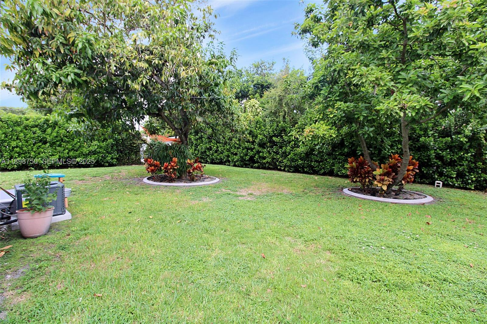 231 Northeast 43rd Street Miami, FL 33137 - Photo 22 of 35 a view of a backyard with table and chairs potted plants and large tree