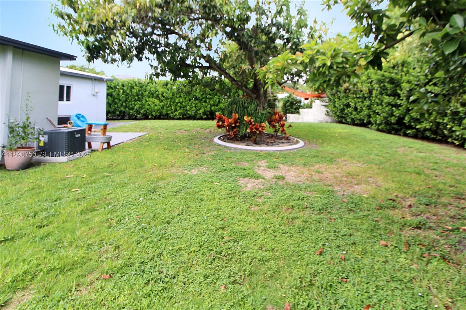 231 Northeast 43rd Street Miami, FL 33137 - Photo 34 of 35 a view of a backyard with plants and a patio
