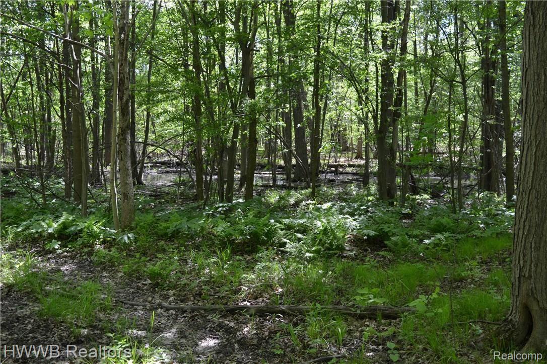 2633 South Lake Pleasant Road Dryden, MI 48428 - Photo 51 of 59 Beautiful Property