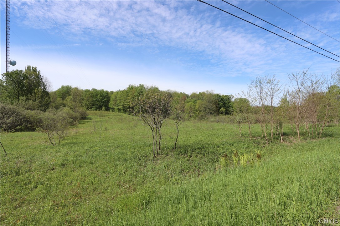 175 Bremm Road Boylston, NY 13083 - Photo 29 of 30