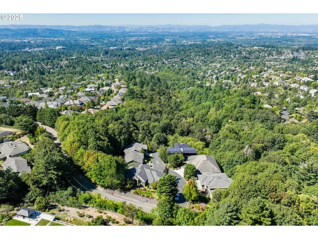 a view of a city with lush green forest