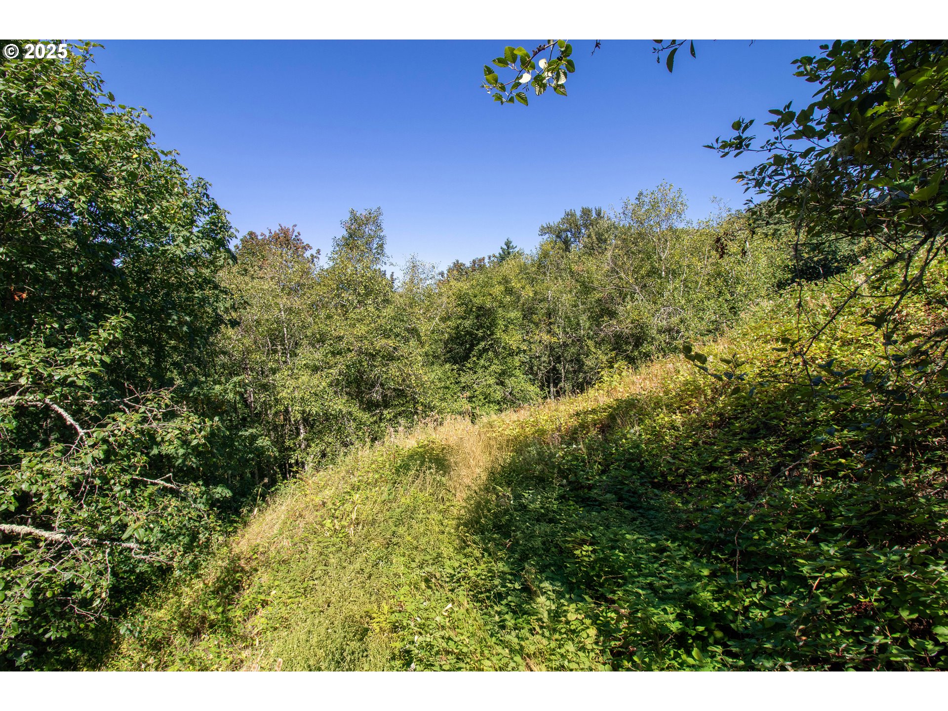 8049 Northwest Prominence Court Portland, OR 97229 - Photo 4 of 19