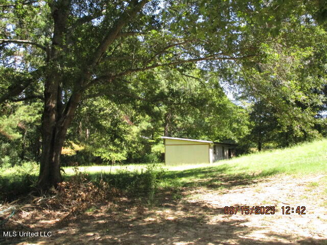 863 Oakdale Road Coldwater, MS 38618 - Photo 49 of 55 IMG_5220