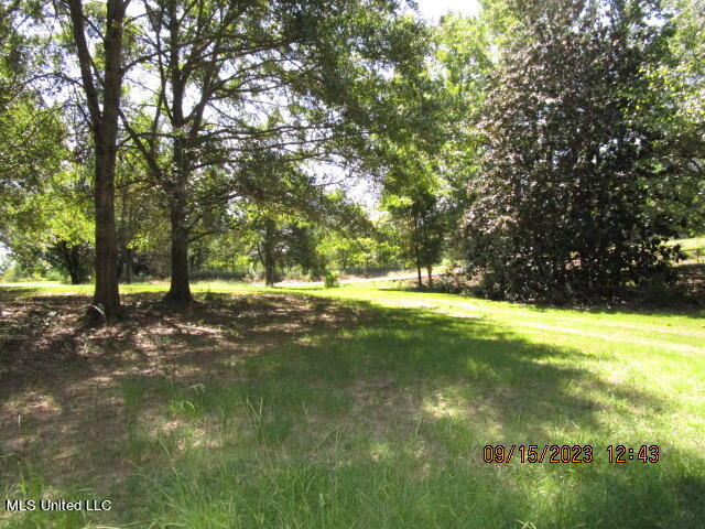 863 Oakdale Road Coldwater, MS 38618 - Photo 52 of 55 IMG_5223