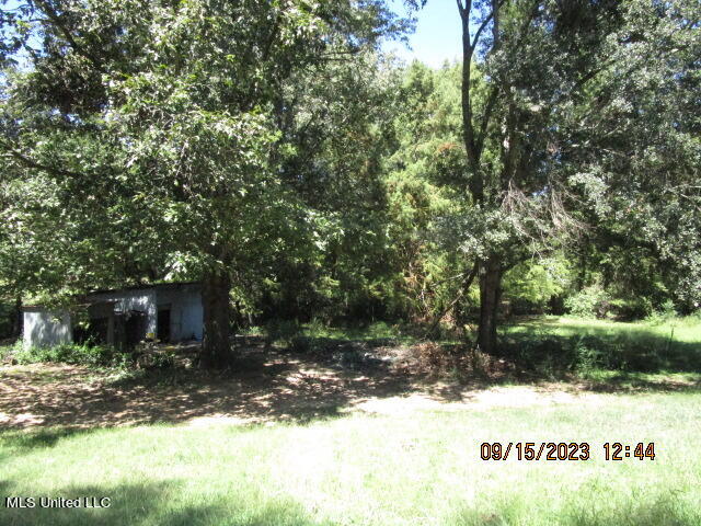 863 Oakdale Road Coldwater, MS 38618 - Photo 53 of 55 IMG_5224