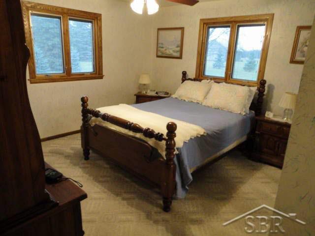 9103 Busch Road Birch Run, MI 48415 - Photo 2 of 18 20035434-1.JPG