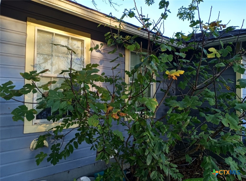 2001 East Forrest Street Victoria, TX 77901 - Photo 15 of 16 a backyard of a house with lots of green space