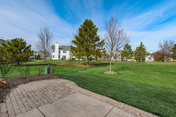 a garden with trees in front of it