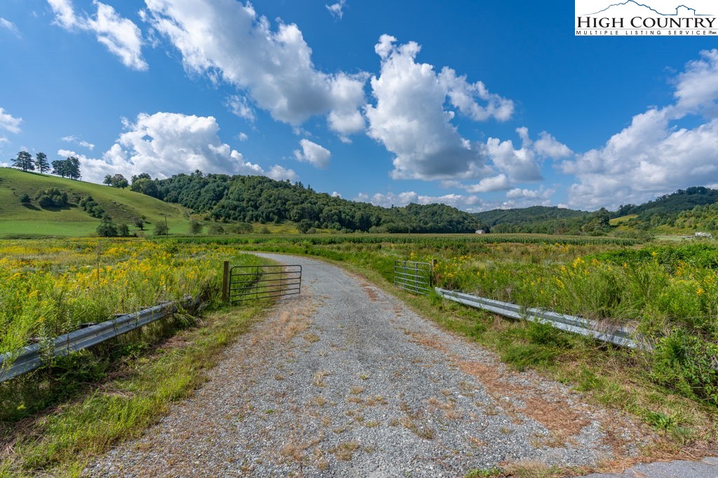 Cranberry Springs Road Deep Gap, NC 28618 - Photo 5 of 19 Gallery Image 5