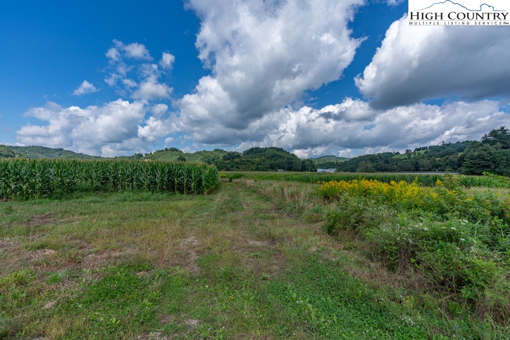 Cranberry Springs Road Deep Gap, NC 28618 - Photo 6 of 19 Gallery Image 6