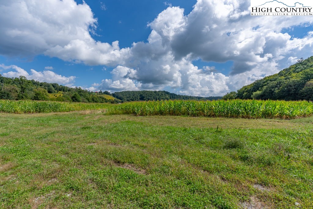 Cranberry Springs Road Deep Gap, NC 28618 - Photo 8 of 19 Gallery Image 8