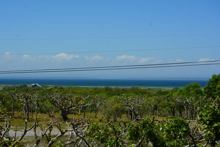 22 Lighthouse Road Aquinnah, MA 02535 - Photo 3 of 29 DSC_4785