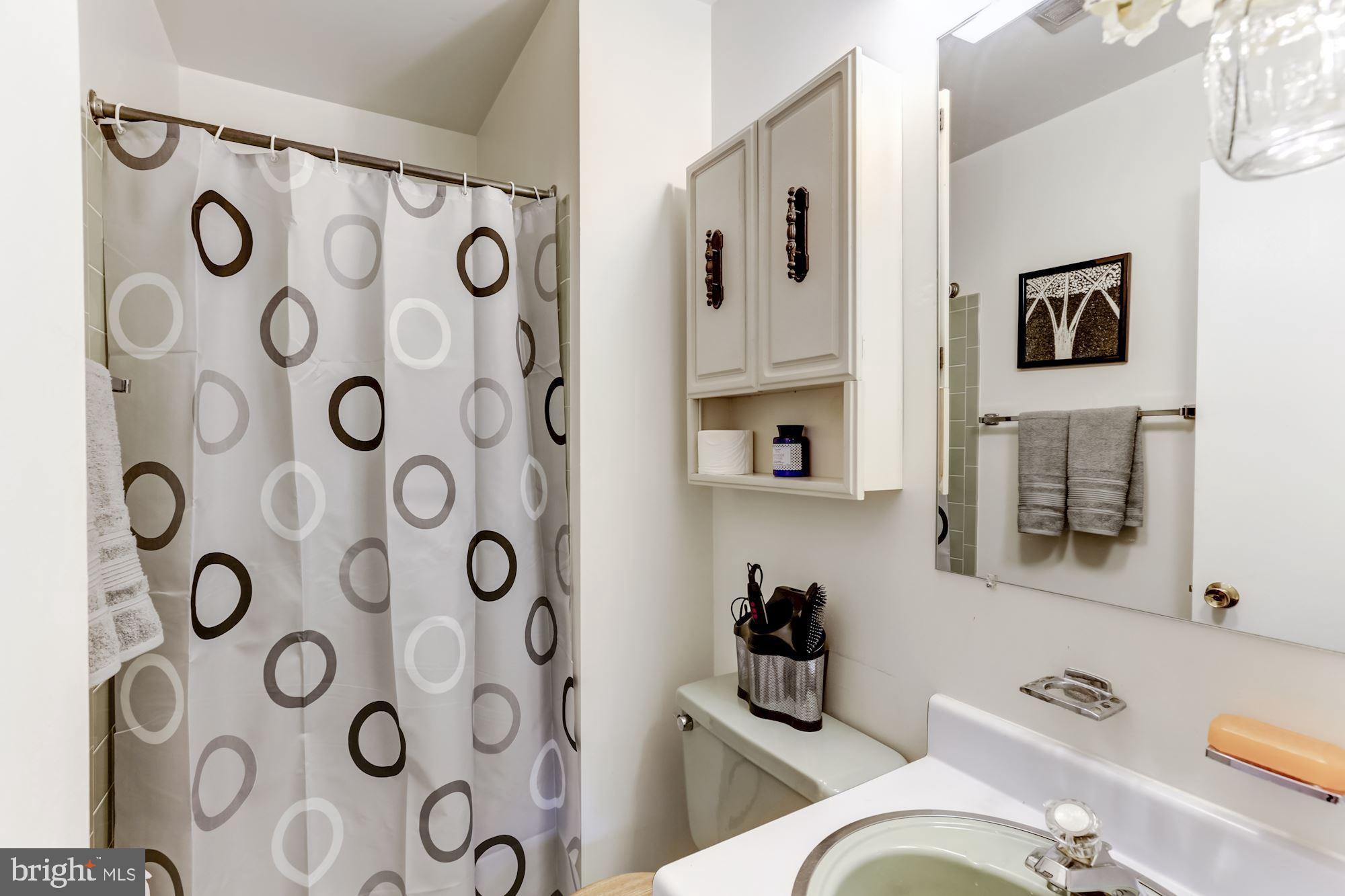 1512 Chatham Colony Court Reston, VA 20190 - Photo 21 of 31 Master bath with tile surround