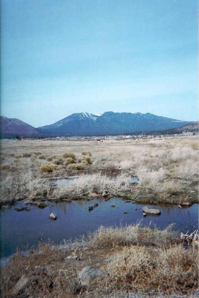 Primary Photo