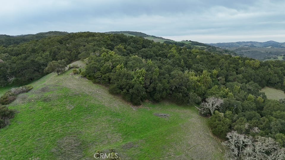 5495 Jack Creek Road Templeton, CA 93465 - Photo 3 of 13