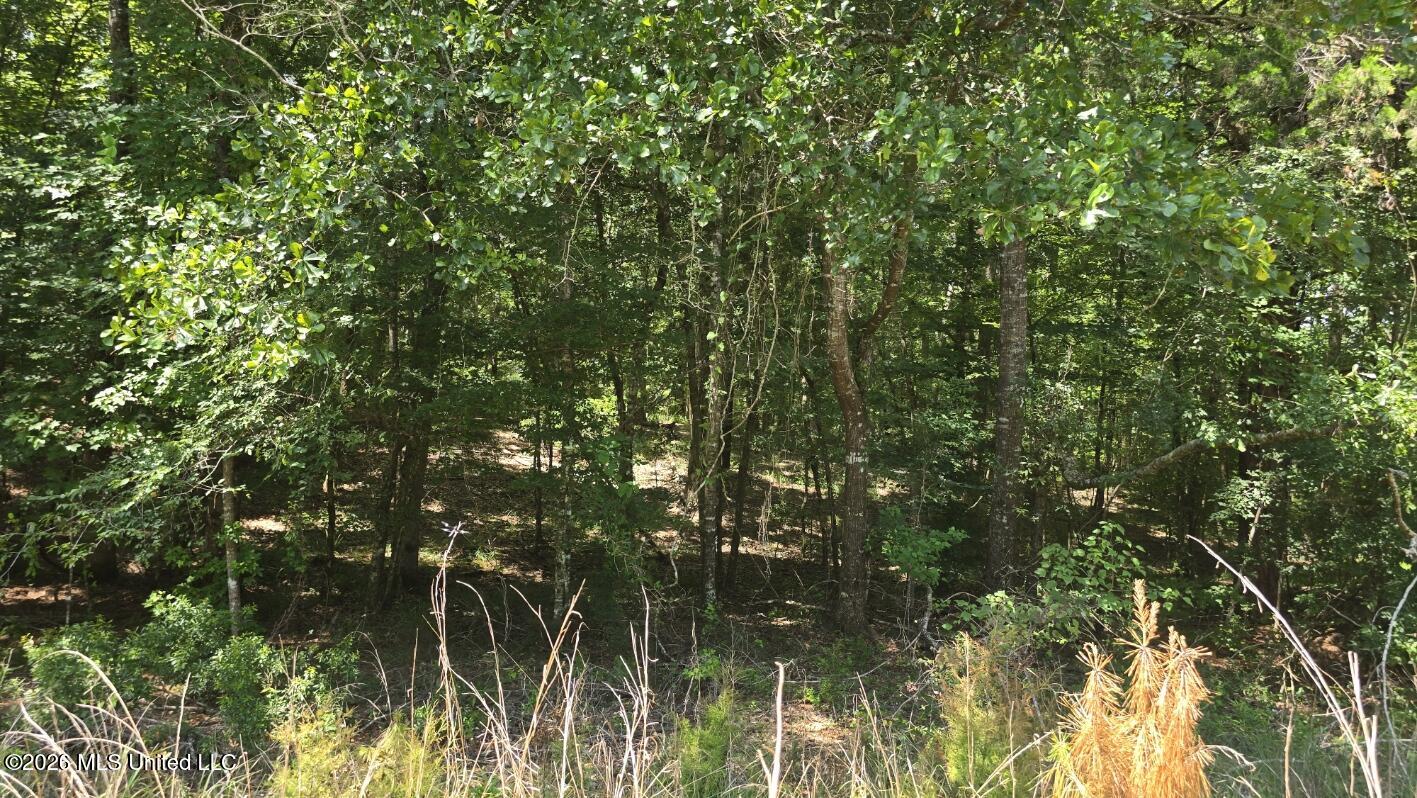 3995 Choctaw Road Brookhaven, MS 39601 - Photo 68 of 73 20260709_115159