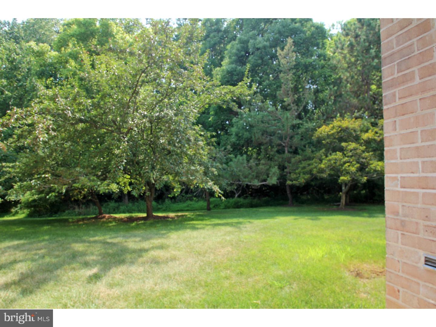 612 Washington Place, Unit 12 Wayne, PA 19087 - Photo 4 of 15 Back Yard