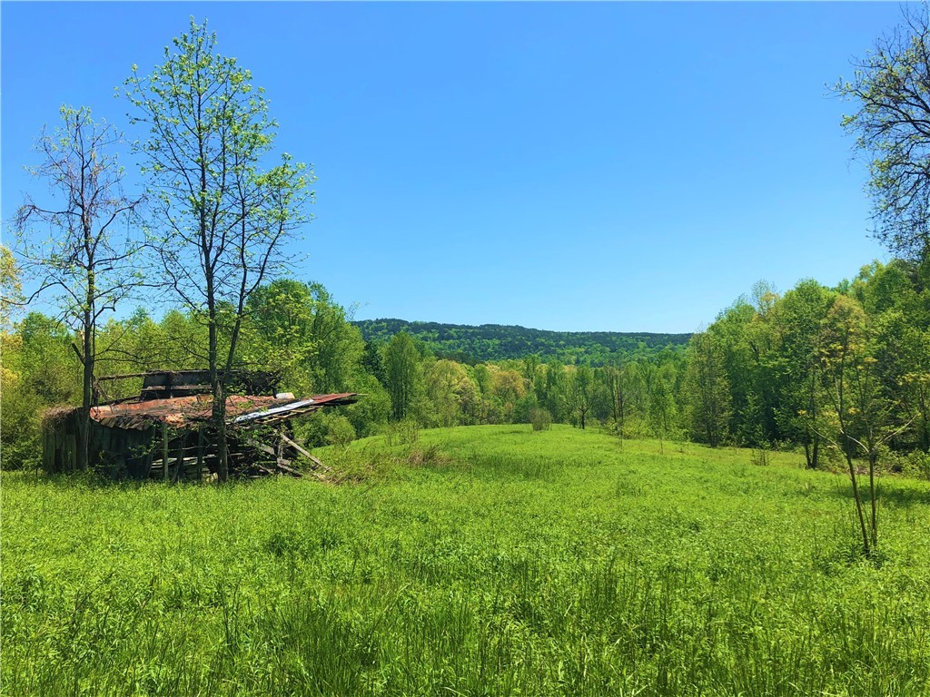 150 Spring Valley Road Salem, SC 29676 - Photo 2 of 48 Hilltop on property, flanked by two streams and cr