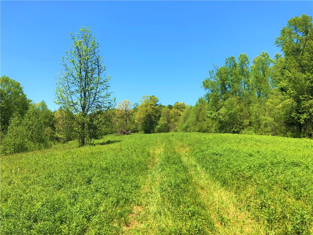 150 Spring Valley Road Salem, SC 29676 - Photo 33 of 48 Perfect hilltop, cleared and ready for pasture