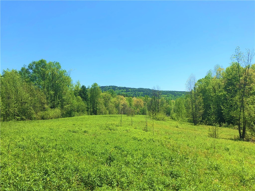 150 Spring Valley Road Salem, SC 29676 - Photo 34 of 48 View from hilltop