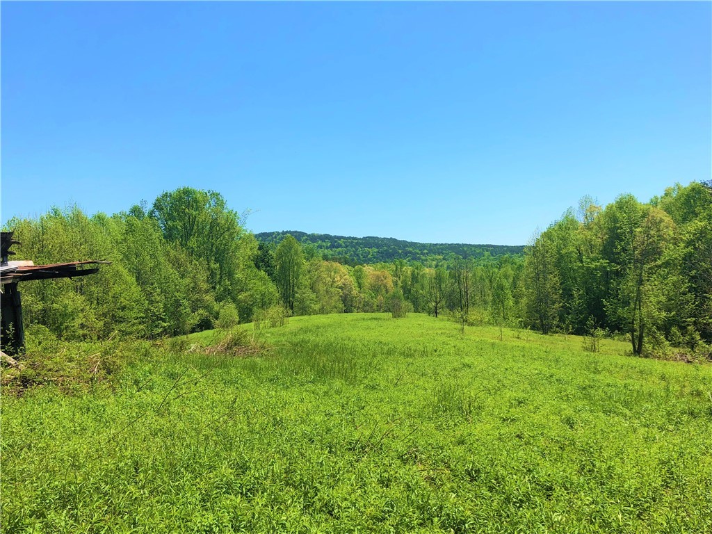 150 Spring Valley Road Salem, SC 29676 - Photo 35 of 48 View from hilltop