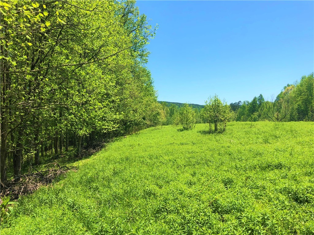 150 Spring Valley Road Salem, SC 29676 - Photo 39 of 48 view from the path into the wooded area between ho