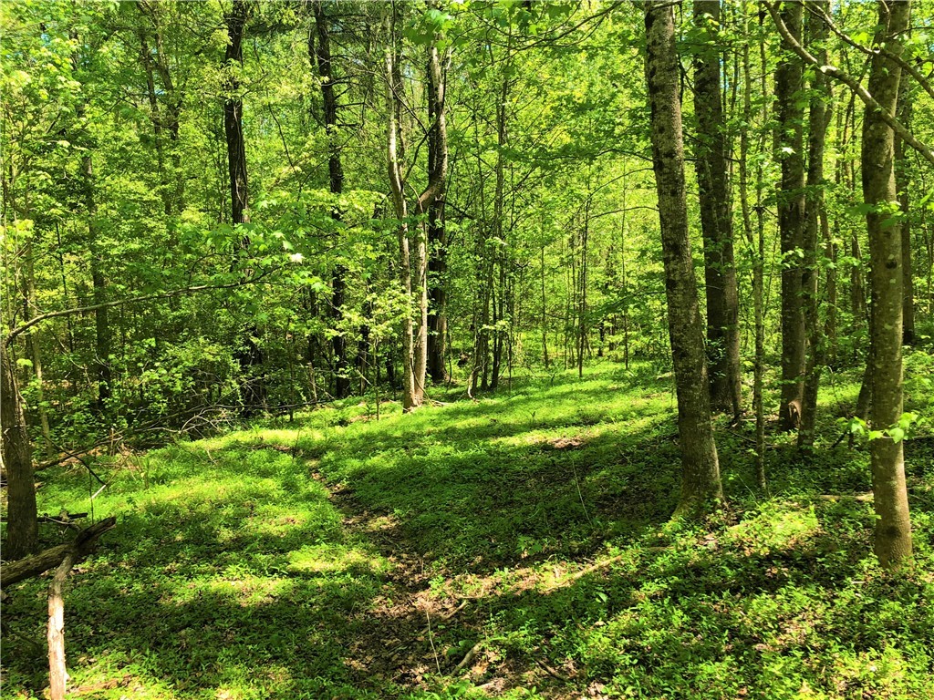 150 Spring Valley Road Salem, SC 29676 - Photo 41 of 48 One of the many trails through the property