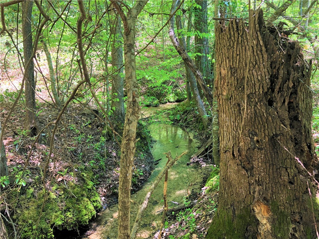 150 Spring Valley Road Salem, SC 29676 - Photo 45 of 48 Stream that is fed by countless springs on the pro