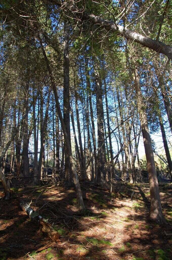 1-2 Bayview Road Orrs Island, ME 04066 - Photo 29 of 35 20210308161304023855000000-o