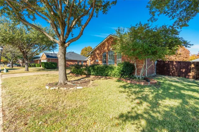 a view of a yard with plants and trees