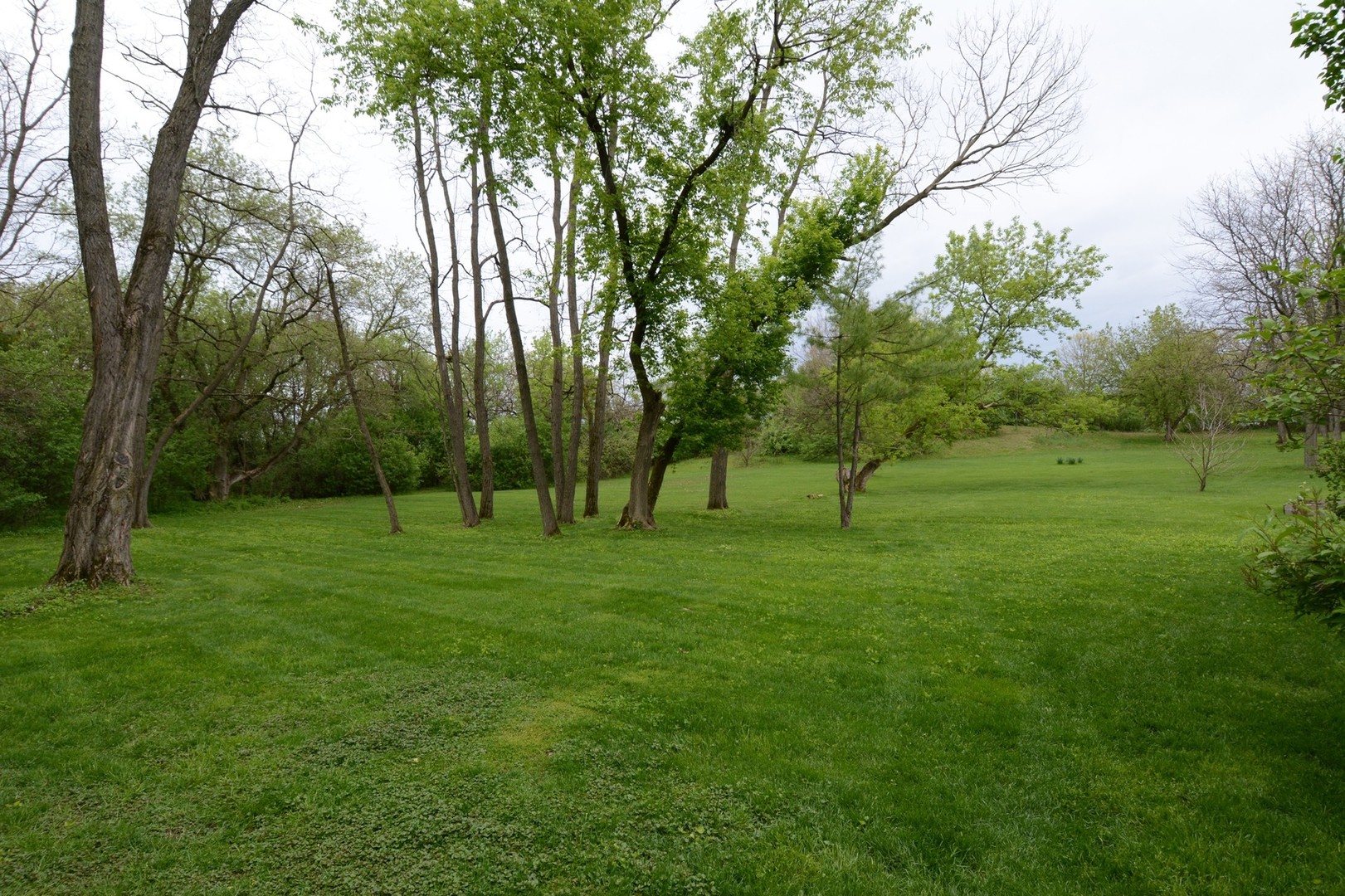 37W271 Weld Road Elgin, IL 60124 - Photo 29 of 34 a view of grassy field with trees