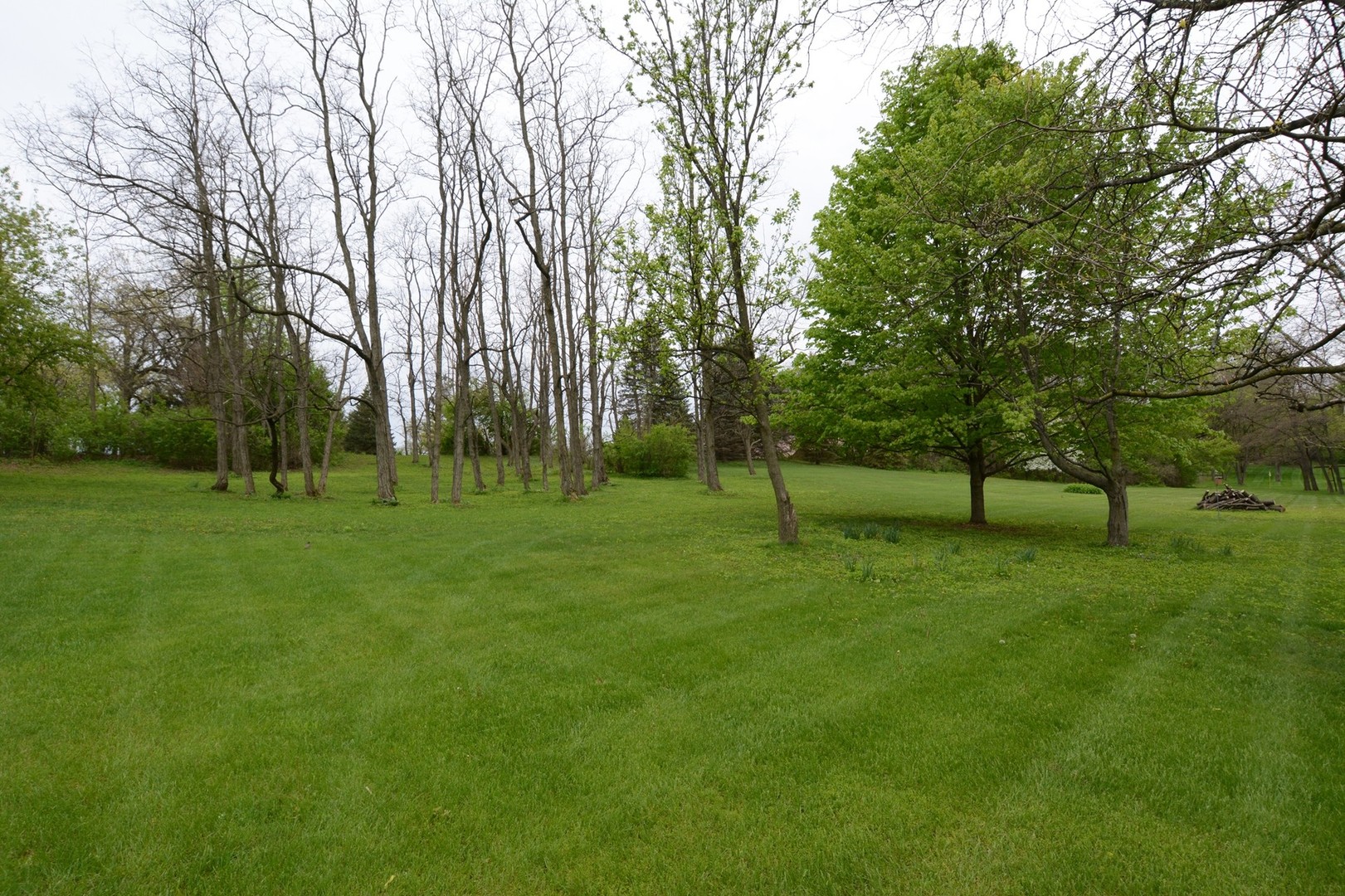 37W271 Weld Road Elgin, IL 60124 - Photo 31 of 34 a view of a park with trees in the background