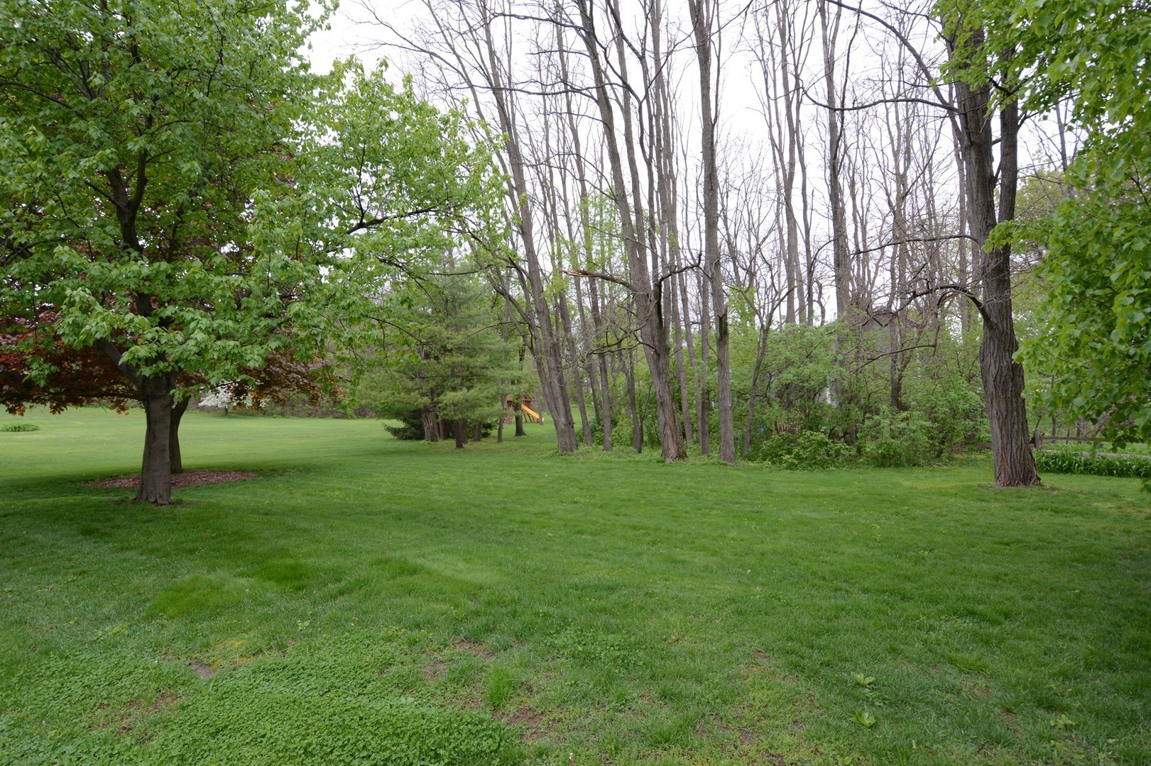 37W271 Weld Road Elgin, IL 60124 - Photo 32 of 34 a big yard with lots of green space and trees